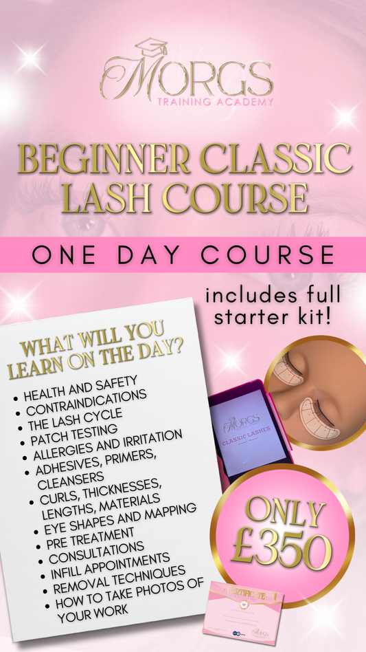 Beginner Classic Lash Training