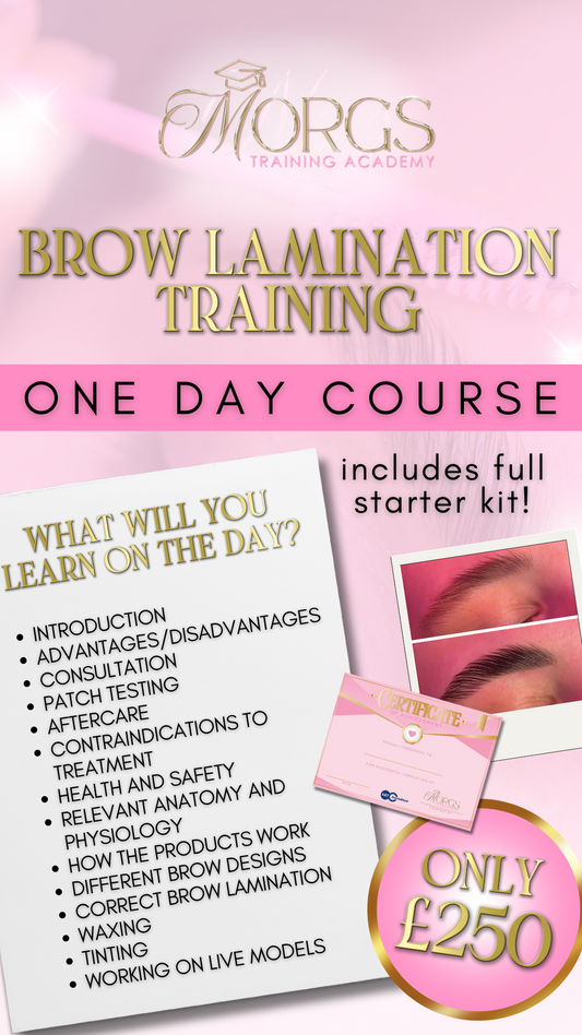 Brow Lamination Training