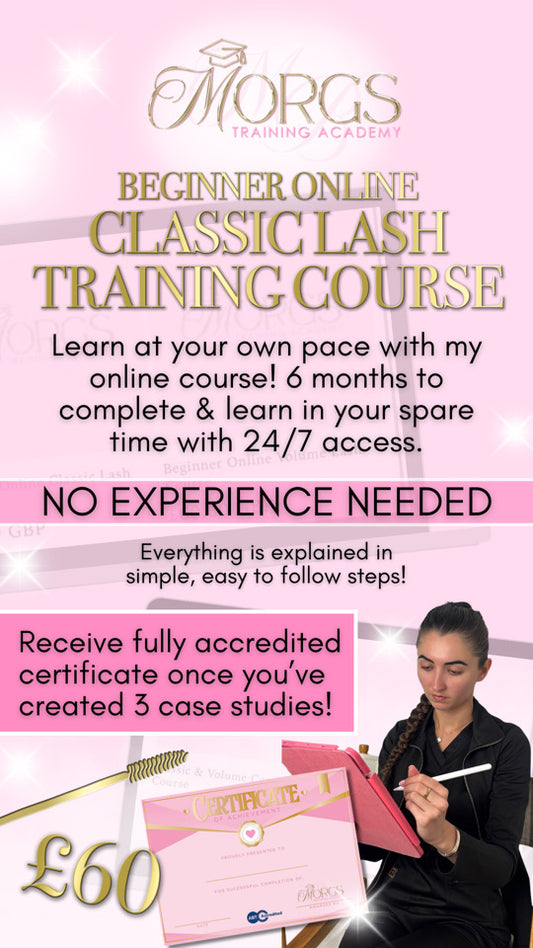 Beginner Online Classic Lash Course
